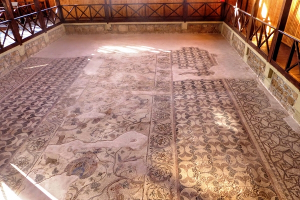 Zdjęcie z Cypru - Dom Dionizosa i jego mozaiki