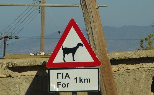 Zdjęcie z Cypru - z serii :nietypowe znaki drogowe :)