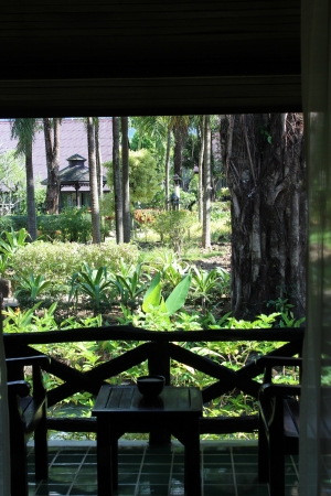 Zdjęcie z Tajlandii - Widok z pokoju na ogród