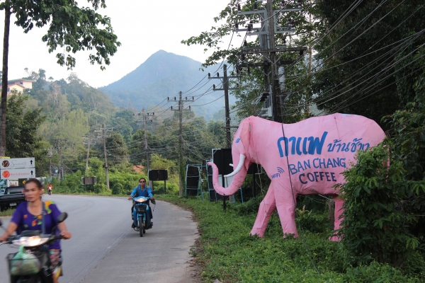 Zdjęcie z Tajlandii - Idziemy do miasteczka