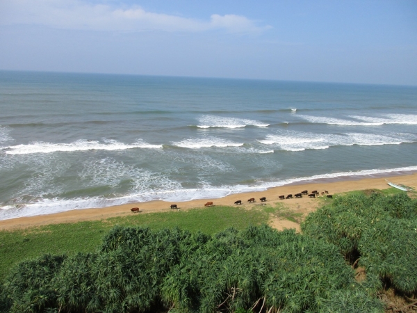 Zdjęcie ze Sri Lanki - widok z pokoju