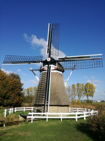 Zdjęcie z Holandii - Wiatrak musi być ;)
