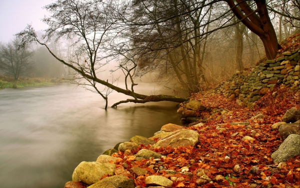 Zdjęcie z Polski - Poranne mgły