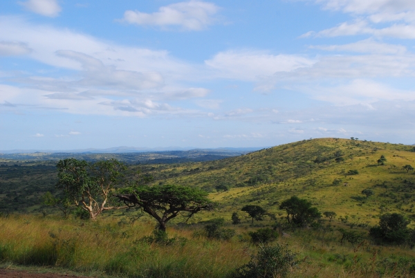 Zdjęcie z Republiki Półudniowej Afryki - Hluluwe Nature Reserve