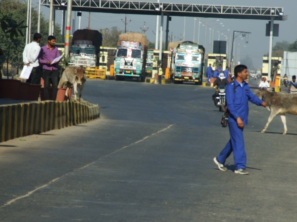 Zdjęcie z Indii - bramki autostrady