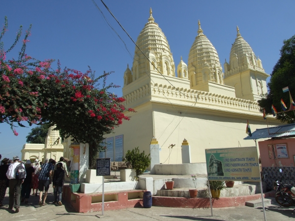 Zdjęcie z Indii - komleks Adinath Temple