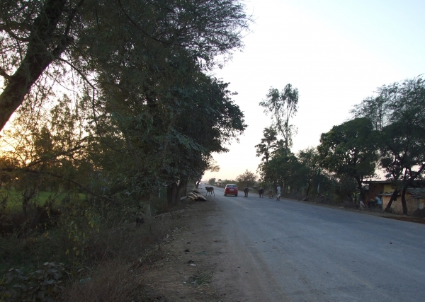Zdjęcie z Indii - na drodze