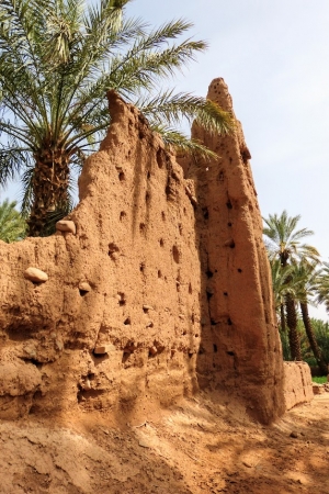 Zdjęcie z Maroka - jak termitiera :) 