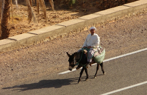 Zdjęcie z Maroka - gdzieś na marokańskiej wsi...