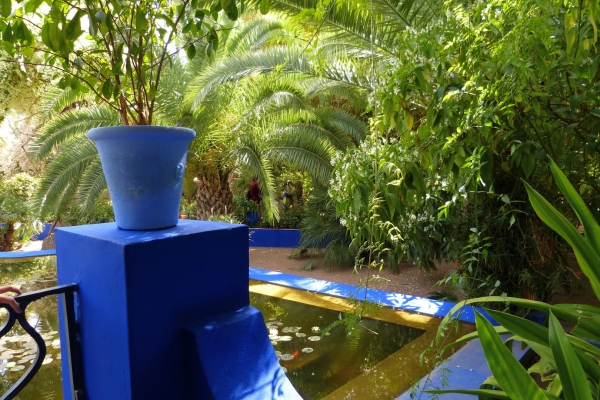 Zdjęcie z Maroka - w ogrodzie dominują dekoracje w pięknym kolorze kobaltowego indygo