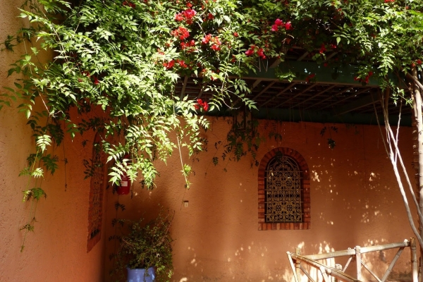 Zdjęcie z Maroka - pora pożegnać się z tym urokliwym miejscem