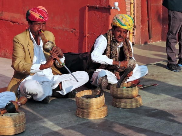 Zdjęcie z Indii - Jaipur - zaklinacze węży.
