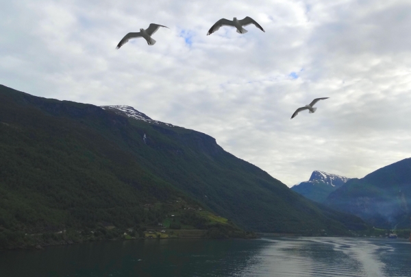 Zdjęcie z Norwegii - Aurlandfjord