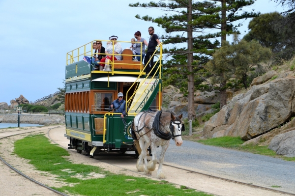 Zdjęcie z Australii - Konny tramwaj kursujacy pomiedzy