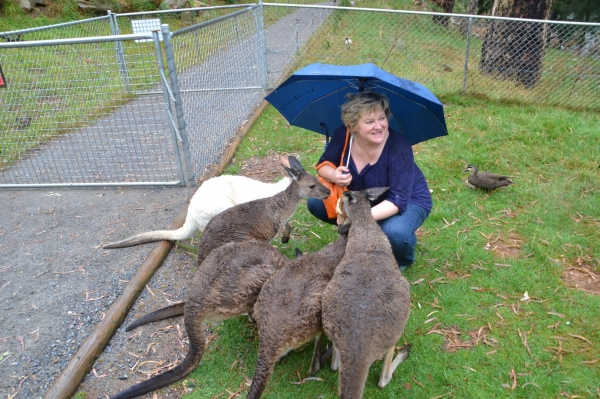 Zdjęcie z Australii - Sesja z kangurami :)