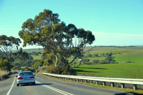 Zdjęcie z Australii - W drodze do Goolwa