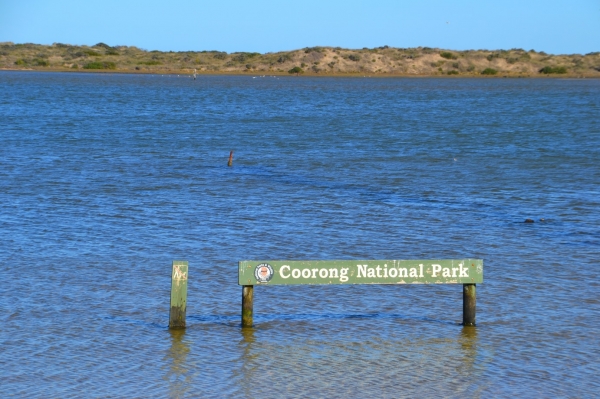Zdjęcie z Australii - Ujscie rzeki Murray i poczatek Coorong NP