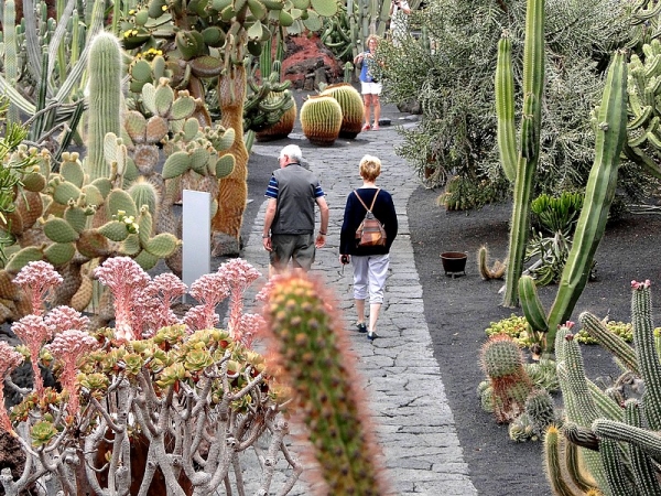 Zdjęcie z Hiszpanii - Spacer wśród kaktusów - Jardin de Cactus.