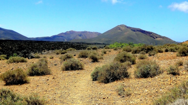 Zdjęcie z Hiszpanii - Widok na wulkany Parku Timanfaya spod zbocza Cadera Blanca.