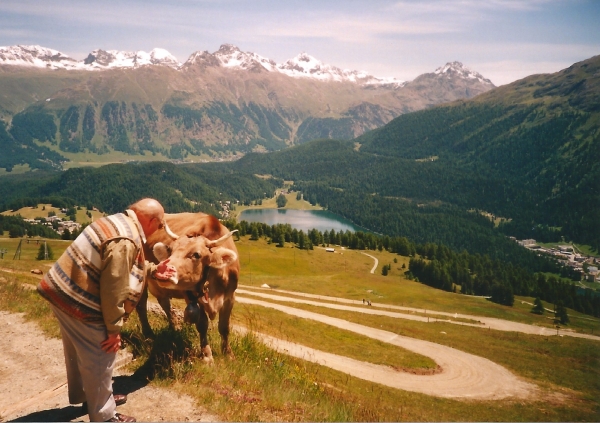 Zdjęcie ze Szwajcarii - Góry otaczające St Moritz