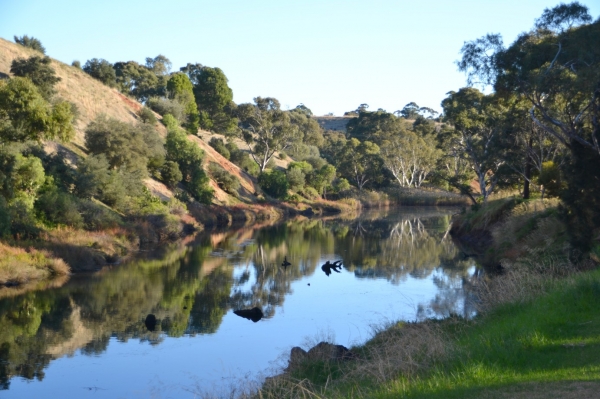 Zdjęcie z Australii - Rzeka Onkaparinga w Old Noarlunga