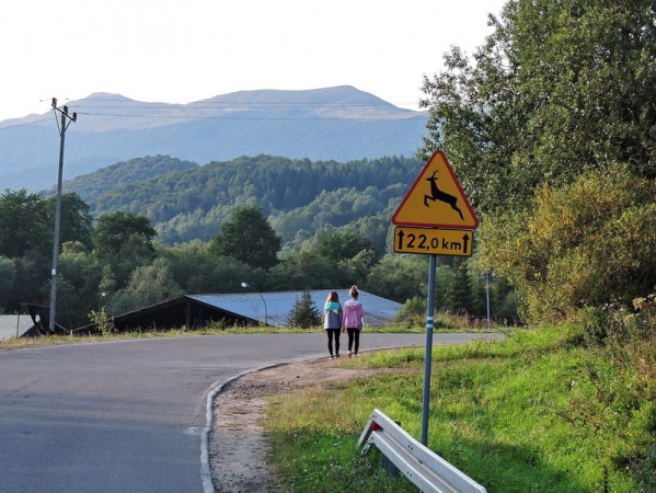 Zdjęcie z Polski - Znak drogowy w Bieszczadach.