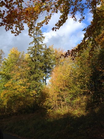 Zdjęcie z Polski - Jesień w Beskidach
