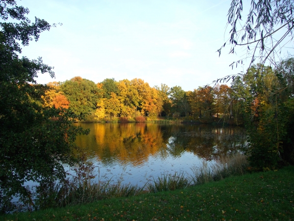 Zdjęcie z Polski - jesień idzie przez park