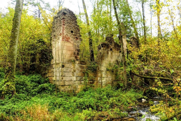 Zdjęcie z Polski - Ruiny starej Papierni Zamoyskich w leśnym gąszczu Czartowego Pola