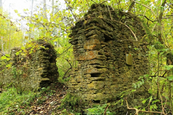 Zdjęcie z Polski - Ruiny starej Papierni w Hamernii