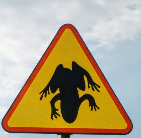 Zdjęcie z Polski - z serii: nietypowe znaki drogowe :) nie deptać żab:))