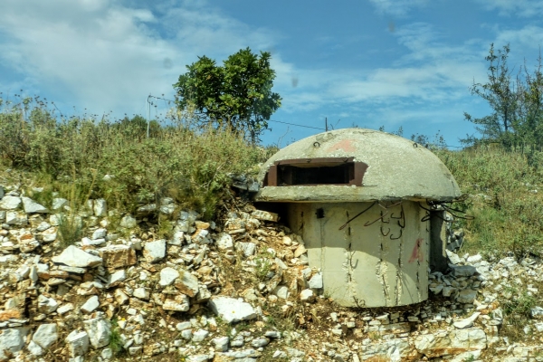 Zdjęcie z Albanii - a Albanii nie trudno spotkać grzybkowate bukry