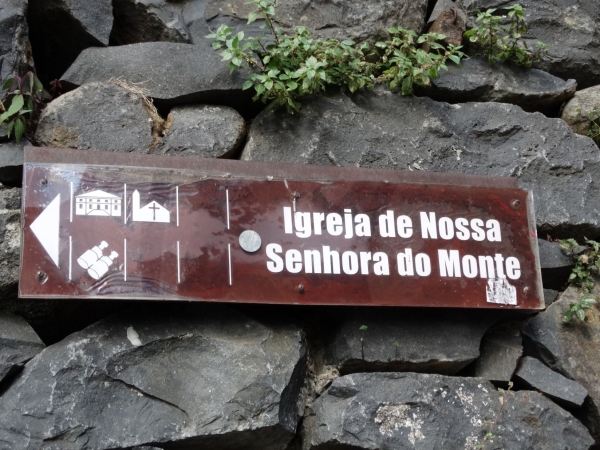 Zdjęcie z Portugalii - Monte