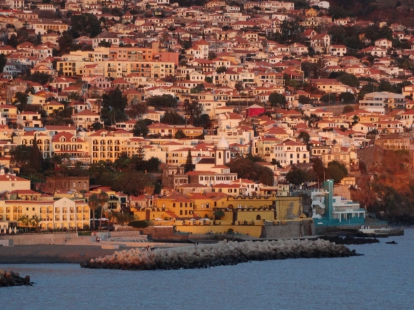 Zdjęcie z Portugalii - Funchal