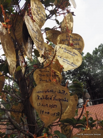 Zdjęcie z Tajlandii - Złote liście z życzeniami