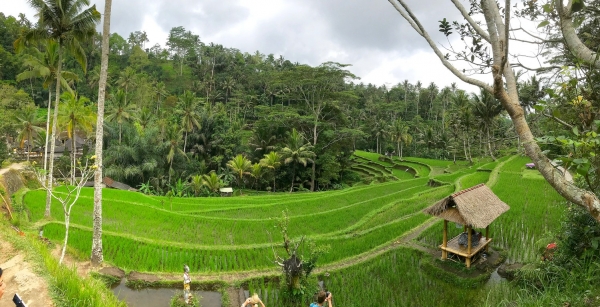 Zdjęcie z Indonezji - Panoramka zrobiona telefonem