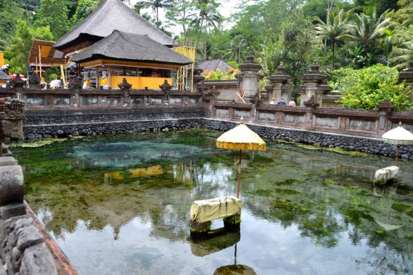 Zdjęcie z Indonezji - Basen do ktorego wybija swiete zrodlo
