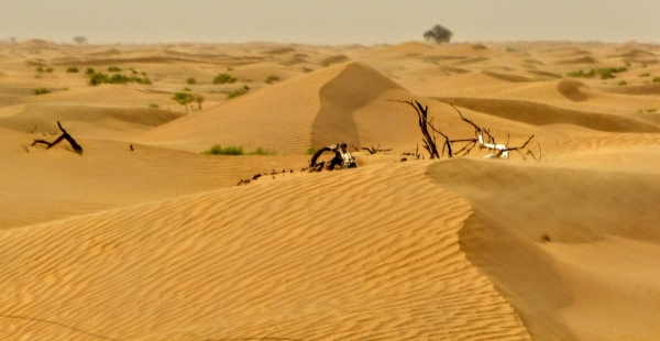 Zdjęcie z Omanu - fragment pustyni Rab