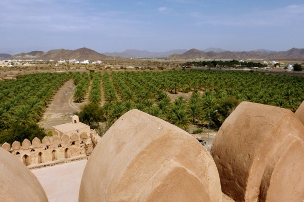 Zdjęcie z Omanu - Jabreen
