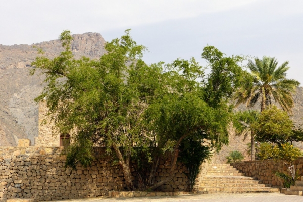 Zdjęcie z Omanu - omańskie zakamarki