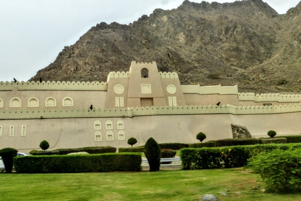 Zdjęcie z Omanu - pstryki po drodze....