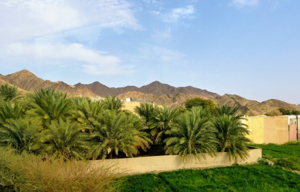 Zdjęcie z Omanu - wyjeżdżamy już niestety z orientalnego i b. ciekawego Maskatu...