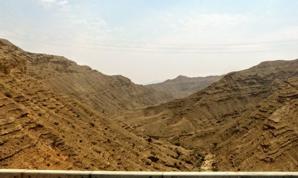 Zdjęcie z Omanu - pstryki z drogi...