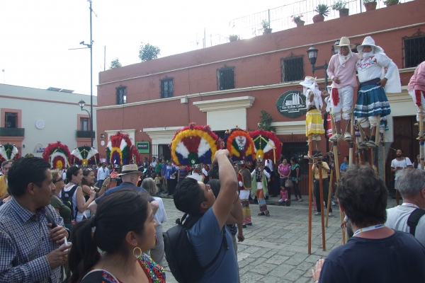 Zdjęcie z Meksyku - fiesta