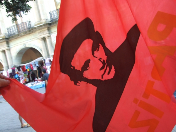 Zdjęcie z Meksyku - flagi strajkujących