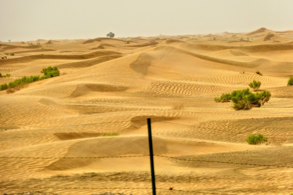 Zdjęcie z Omanu - jeszcze pstryk pustyni mijanej po drodze....