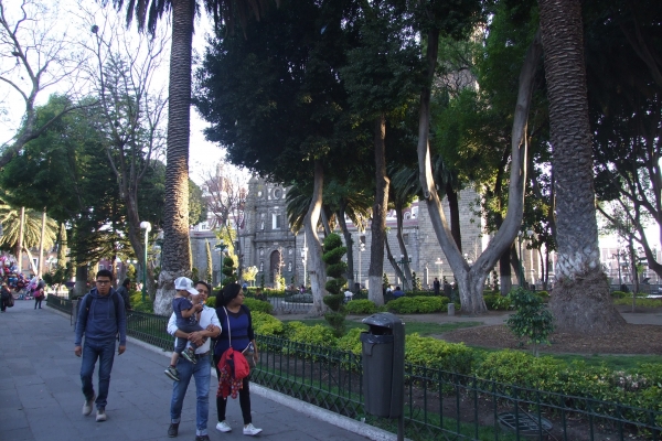 Zdjęcie z Meksyku - Plaza de Armas