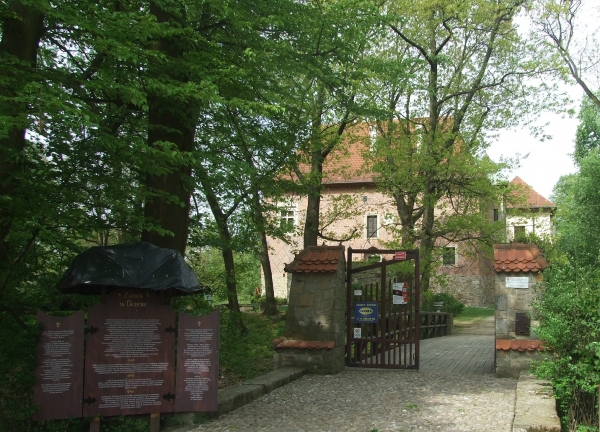 Zdjęcie z Polski - zamek w Dębnie