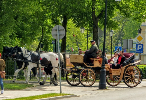 Zdjęcie z Polski - wokół Parku Zdrojowego kursują takie pojazdy