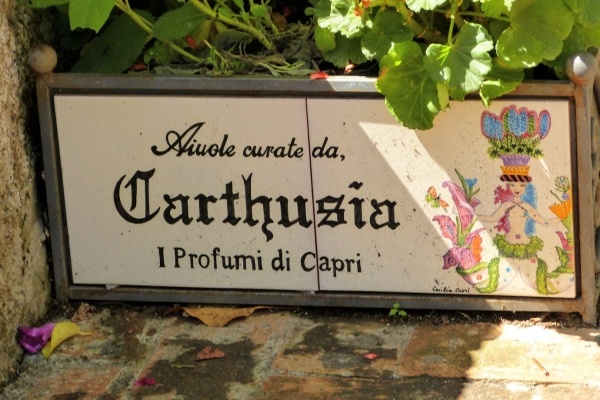 Zdjęcie z Włoch - wokół wszędzie perfumerie...